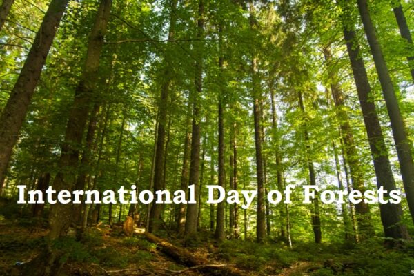 International day of forests 2022 theme